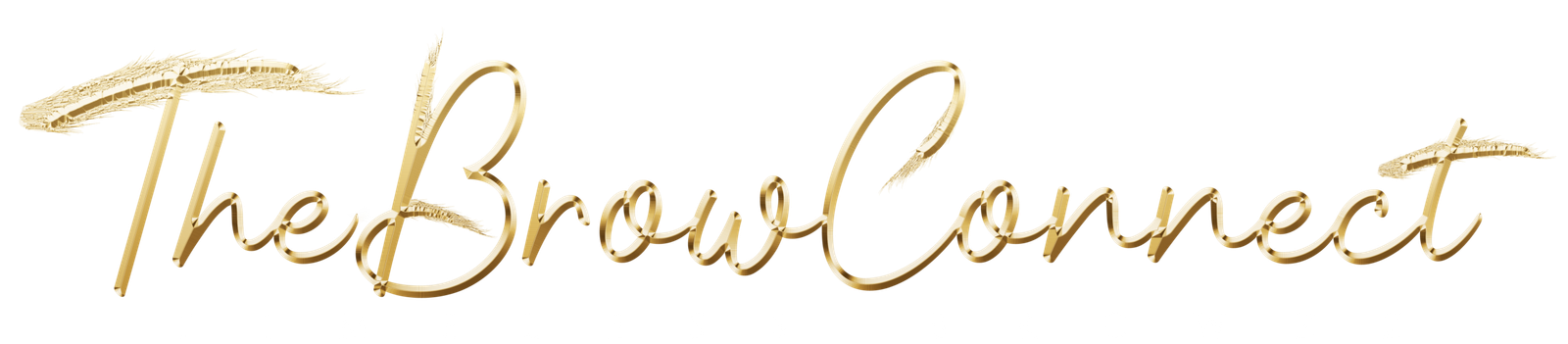 thebrowconnect.com